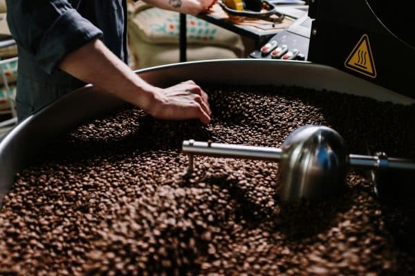 Café en Grains Indien Mysore – Arabica Robuste Torréfié à Bernay – Image 3